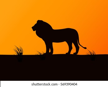 Vector illustration of black silhouette lion on the background of sunset. Side view, profile.
