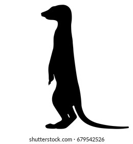 Vector illustration of a black silhouette meerkat. Isolated white background. Icon meerkat side view profile. A small animal stands on its hind legs.