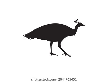 Vector illustration of a black silhouette peacock. Isolated white background. Icon peafowl side view profile.