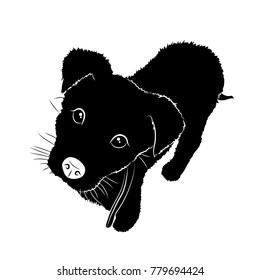 Vector illustration. Black silhouette of puppy. EPS 8
