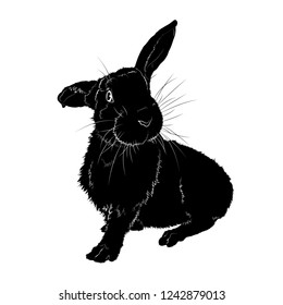 Vector illustration. Black silhouette of the rabbit.EPS 8
