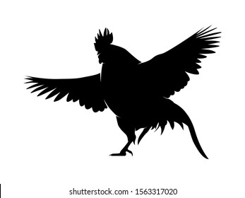 Vector illustration. Black silhouette of a rooster design. Isolated male chicken on a white background