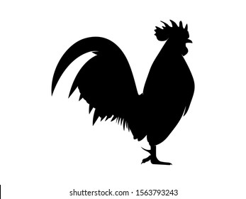 Vector Illustration. Black Silhouette of a rooster design. isolated male chicken on a white background