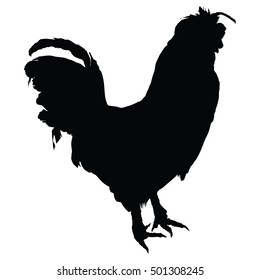 Vector illustration of the black silhouette of rooster isolated on white background.