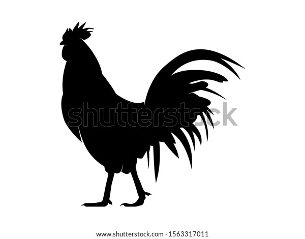 Vector Illustration Black Silhouette Rooster Design Stock Vector ...