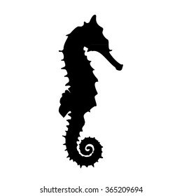 Vector Illustration  Black Silhouette Of Sea Horse. Seahorse Icon Isolated On White Background.