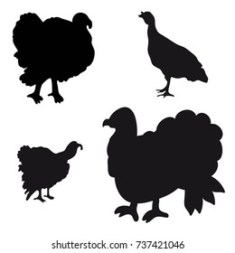 Vector illustration. Black silhouette of several turkeys on a white background. Collection of silhouettes.