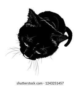 Vector illustration. Black silhouette of a sitting cat. Top view.EPS 8