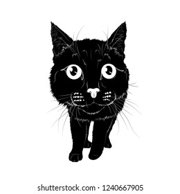 Vector illustration. The black silhouette of a standing cat.EPS 8