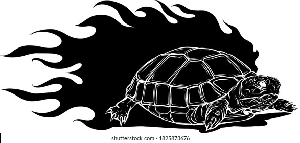 vector Illustration of black silhouette Sulcata land tortoise design