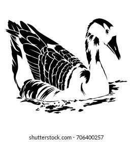 Vector illustration of black silhouette swimming goose in water on white background. Element for design.