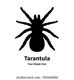 Vector illustration of black silhouette of a tarantula. Drawing, picture isolated on white background. View from above. Spider logo, icon. 