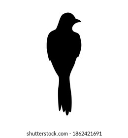 Vector illustration of black sitting bird silhouette isolated on white background