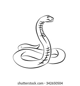 Vector illustration. Black snake on white background. Sketch