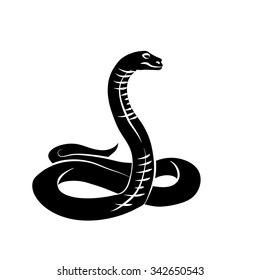 Vector illustration. Black snake on white background.