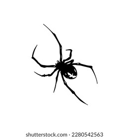 vector illustration of black spider