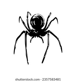 vector illustration of black spider