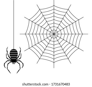 Vector Illustration Of Black Spider And Cobweb.