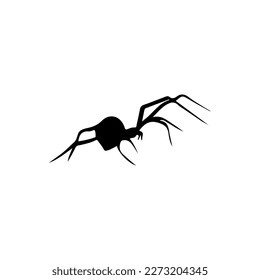 vector illustration of black spider silhouette