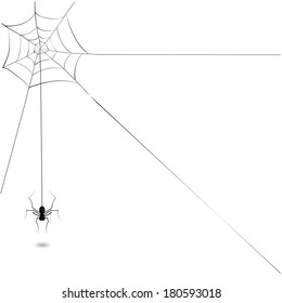 Vector Illustration with Black Spider and Spiders Web Isolated on White Background for Your Design. Halloween Background