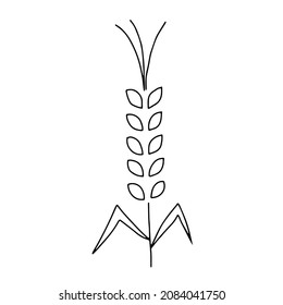 A Vector Illustration of a black Spikelet of wheat plant icon isolated on a white background