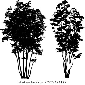 Vektorgrafik einer schwarzen Baumsilhouette einzeln auf weißem Hintergrund. Perfekt für Naturdesign, architektonisches Rendering, Landschaftsarchitektur und Umgebungsgrafiken. Hochwertige EPS-Datei.