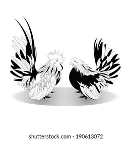 Vector illustration of black and white Bantam on a white background