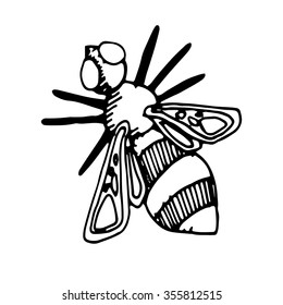  Vector illustration with black and white bee. Cute doodle bee on white background. Apiary. Beautiful insect.