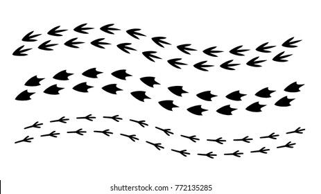 Vector illustration of black and white bird footprints