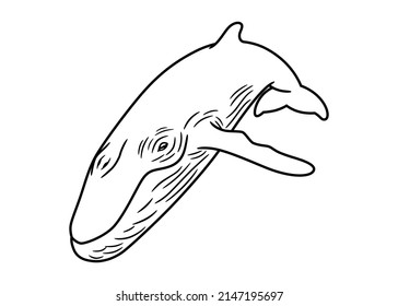 Vector Illustration, In Black And White With Border Lines, Of A Wale, Isolated On A White Background.