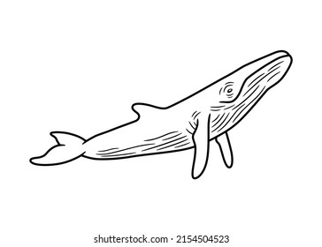 Vector Illustration, In Black And White With Border Lines, Of A Wale, Isolated On A White Background. To Uso Like Logo Or Graphic Element.