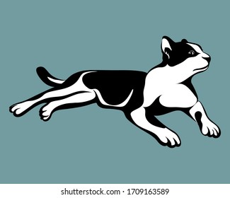 Vector illustration of a black and white cat with blue background. It is laying on the floor.