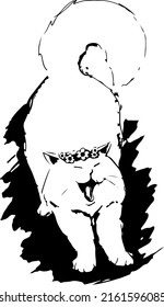 Vector illustration of black and white cat on the white background.