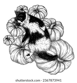 Vector illustration of a black and white cat lying on pumpkins in engraving style