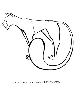 Vector illustration of black and white contour panther isolated on white
