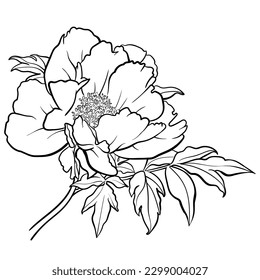 Vektorgrafik von Schwarz-Weiß-Kontur-Peronenblume für die Färbung der Seite. 