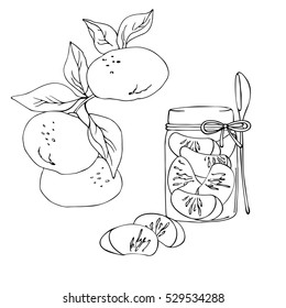 vector illustration black white contour of mandarin jam in jar and fruit