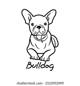 3,629 Dog clothing logo Images, Stock Photos & Vectors | Shutterstock