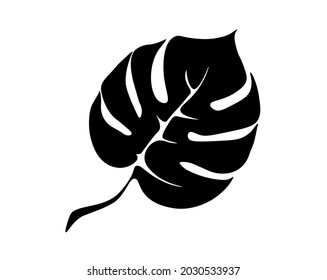 Vector illustration. Black and white drawing of monstera leaf for template, background, textile, wrapping. Use in interior design.