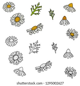 Vector illustration of black and white elements of daisies - buds, leaves.