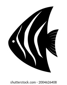 Vector illustration of a black and white fish similar to a scalar, or angel fish.
