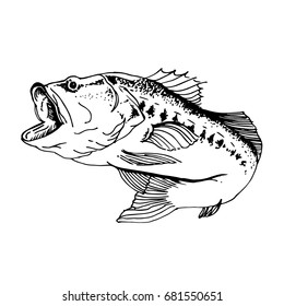 Vector illustration black and white fish