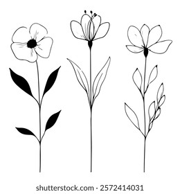 Vector illustration of black and white flowers depicted