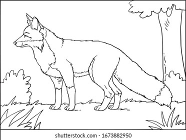 Vector illustration of black and white fox contour