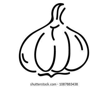 Vector illustration of a Black and White Garlic