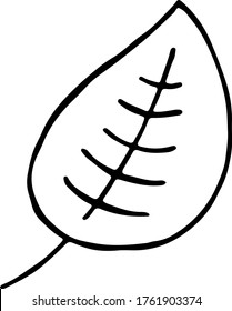 vector illustration black and white hand-drawn in doodle style leaf of a tree