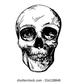 Vector Illustration of a Black and White Human Skull Drawing 