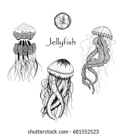 Vector Illustration Black White Jellyfish Stock Vector (Royalty Free ...