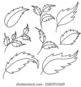 Vector illustration of black and white leaves isolated on a white background.