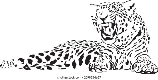 Vector illustration of black and white leopard